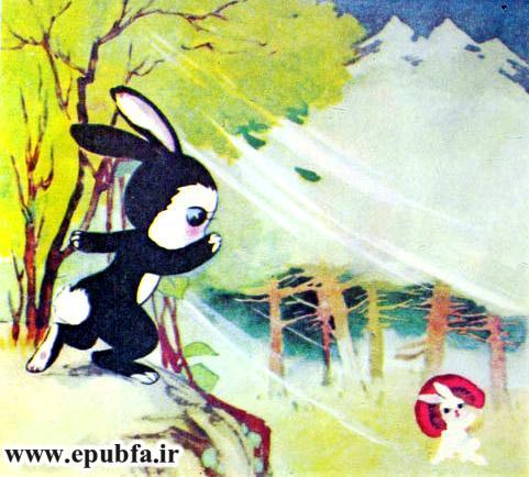 چهارخرگوش کوچولو به چیدن قارچ میروند-کتاب تصویری آموزش اتحاد و همکاری به کودکان-ایپابفا سایت قصه و داستان6